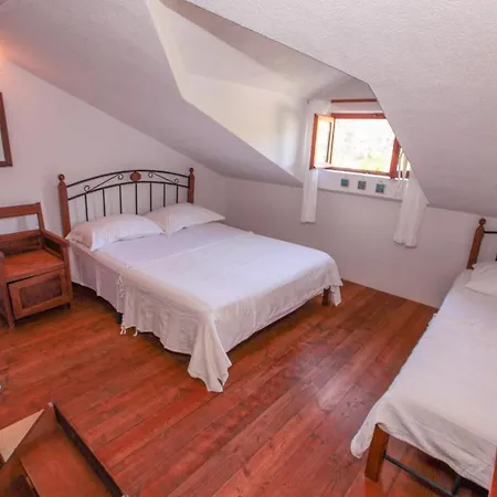 Robinson Alga Sućuraj